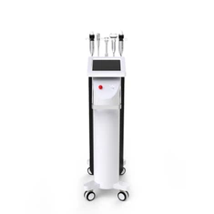 Microneedles RF Korea Secret RF Technology